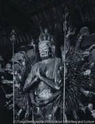 作品画像