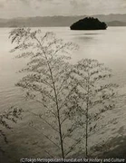 作品画像