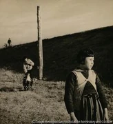 作品画像