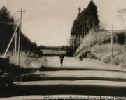 作品画像