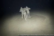 作品画像