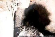 作品画像