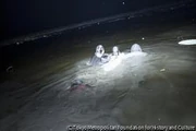 作品画像