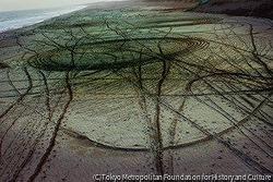 志賀 理江子《螺旋海岸46》 | アートプラットフォームジャパン（APJ）