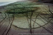 作品画像