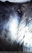 作品画像