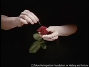 作品画像