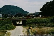 作品画像