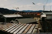 作品画像