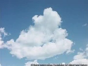作品画像