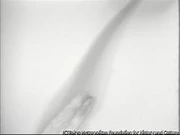 作品画像