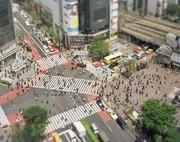 作品画像