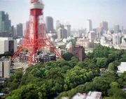 作品画像