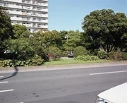 作品画像