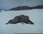 作品画像