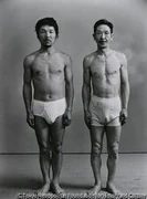 作品画像