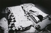作品画像