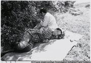 作品画像