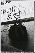 作品画像
