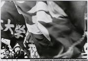 作品画像