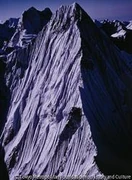 作品画像