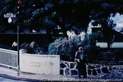 作品画像