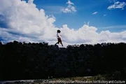 作品画像