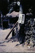 作品画像