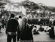 作品画像
