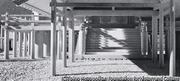 作品画像