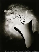 作品画像