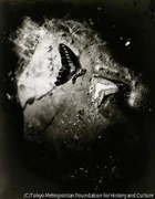 作品画像