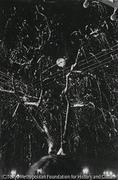 作品画像