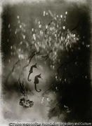 作品画像