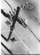 作品画像