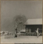 作品画像
