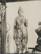 作品画像