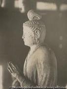 作品画像