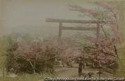 作品画像