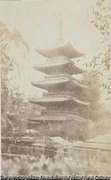 作品画像