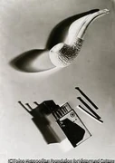 作品画像