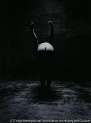作品画像