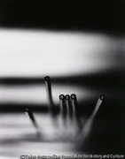 作品画像