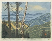 作品画像