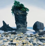 作品画像
