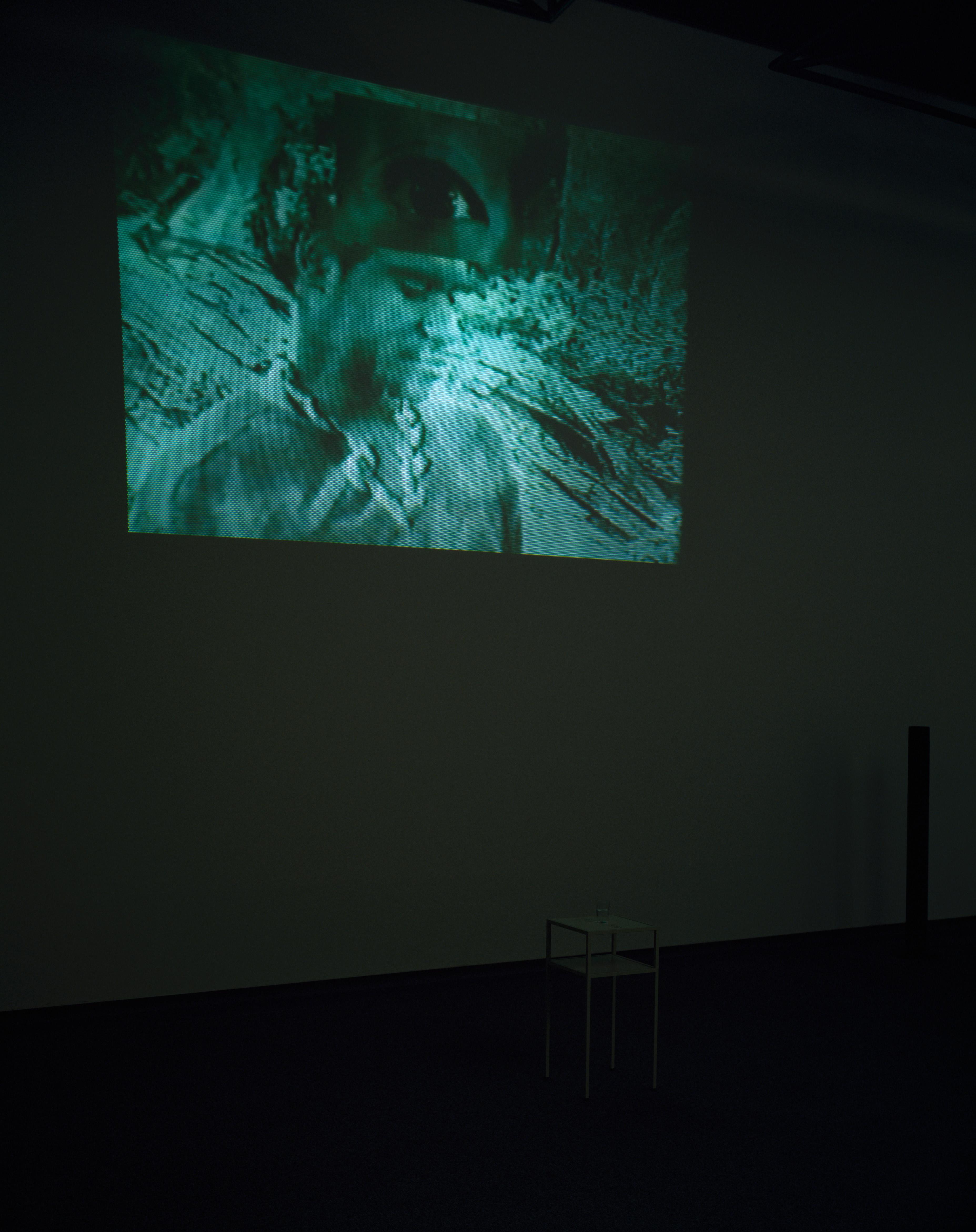 ユク・クンビョン《Sound of Landscape + Eye for Field = Survival is