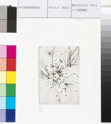 作品画像