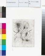 作品画像