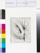 作品画像