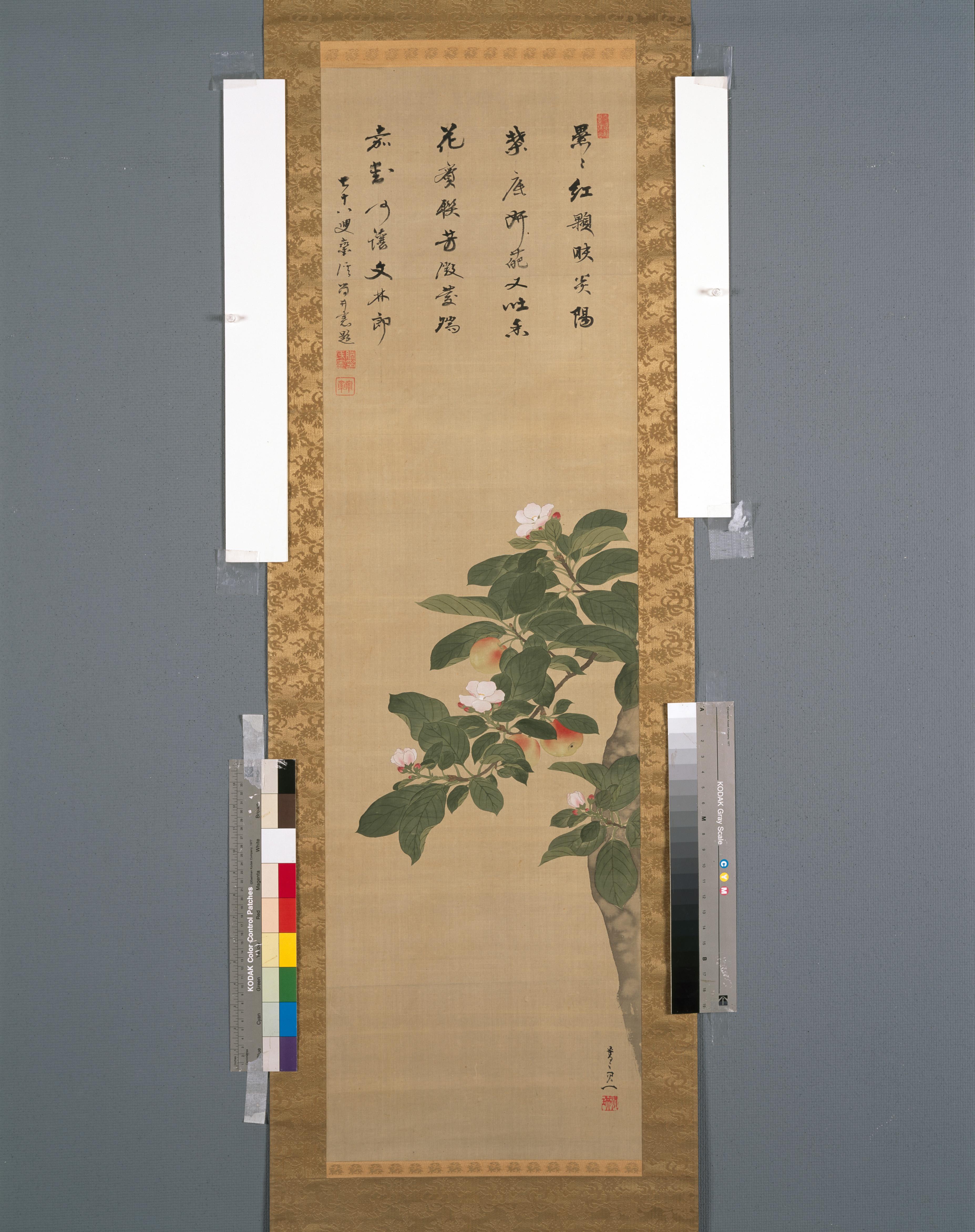 作品画像